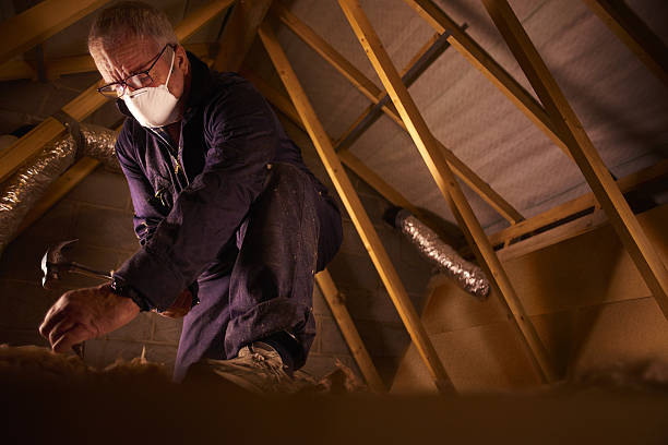 Best Insulation Maintenance and Repair in New Kingman Butler, AZ